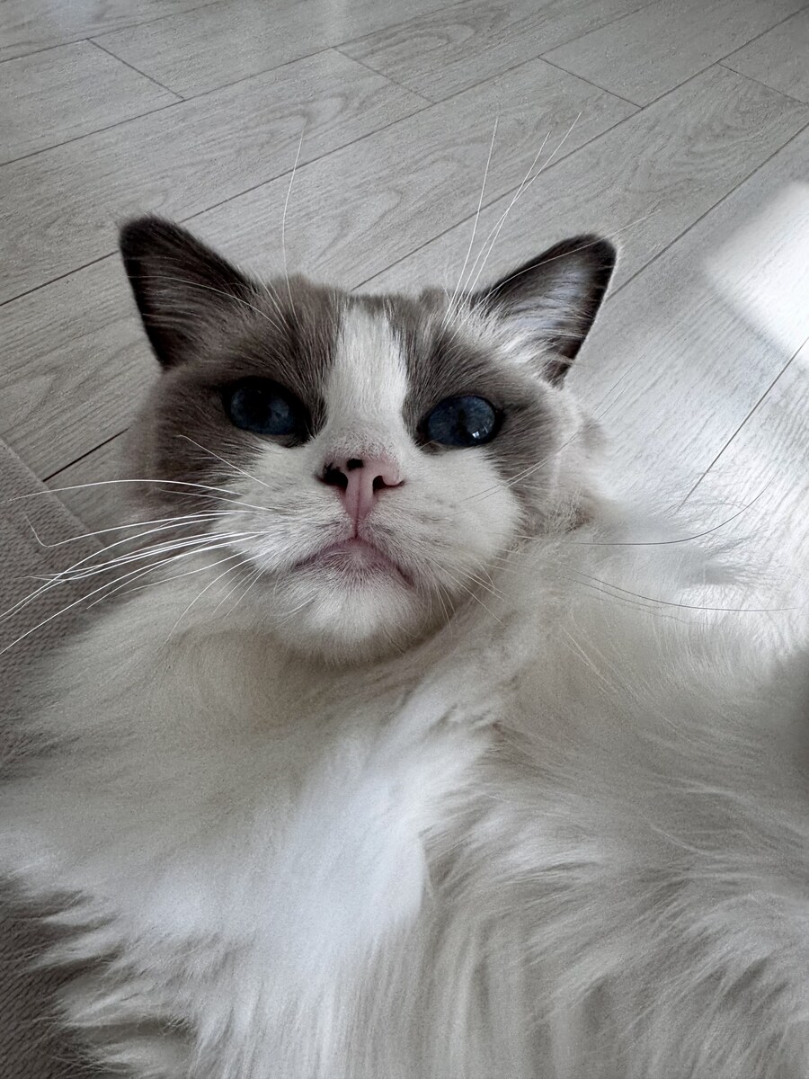 오랜만에 록희!_13.jpg