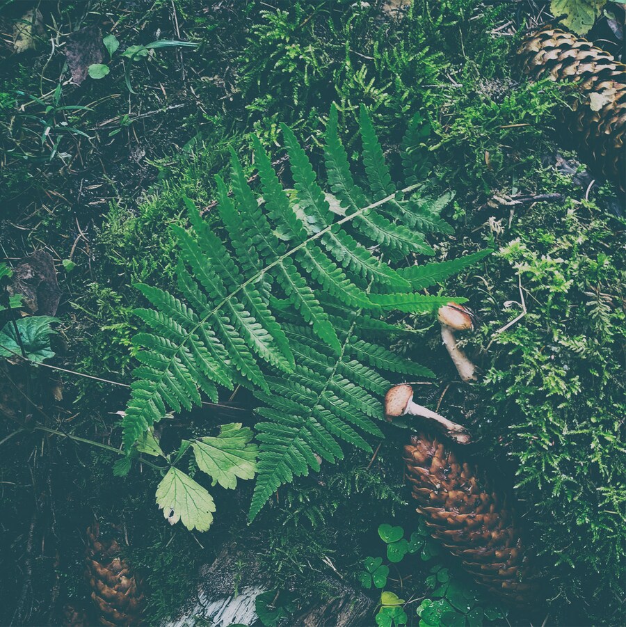 메탈) 2년 전 오늘 발매된 앨범_1.png