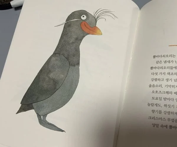 애들 보는거라고 대충 그렸네 ㅋㅋ_2.webp