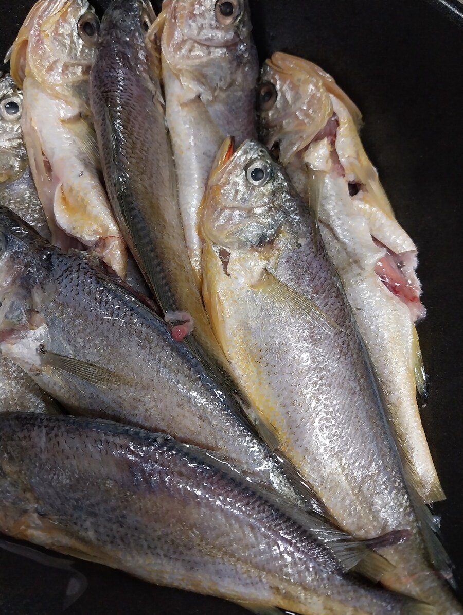 오늘 동지날 팥죽_5.jpg