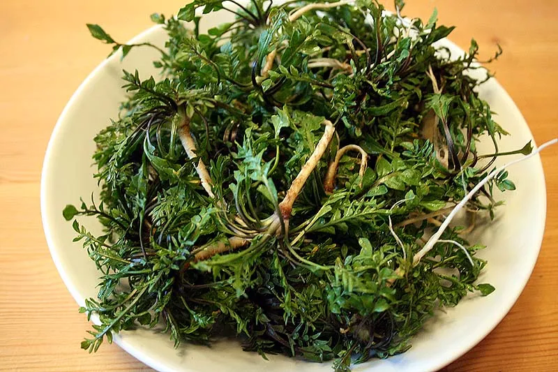 부자인증 올려봄_2.webp