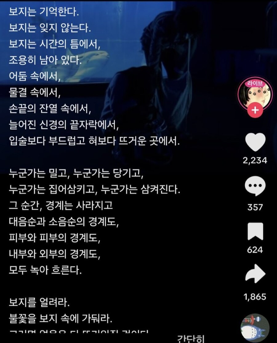 틱톡 문풍당당_1.jpg