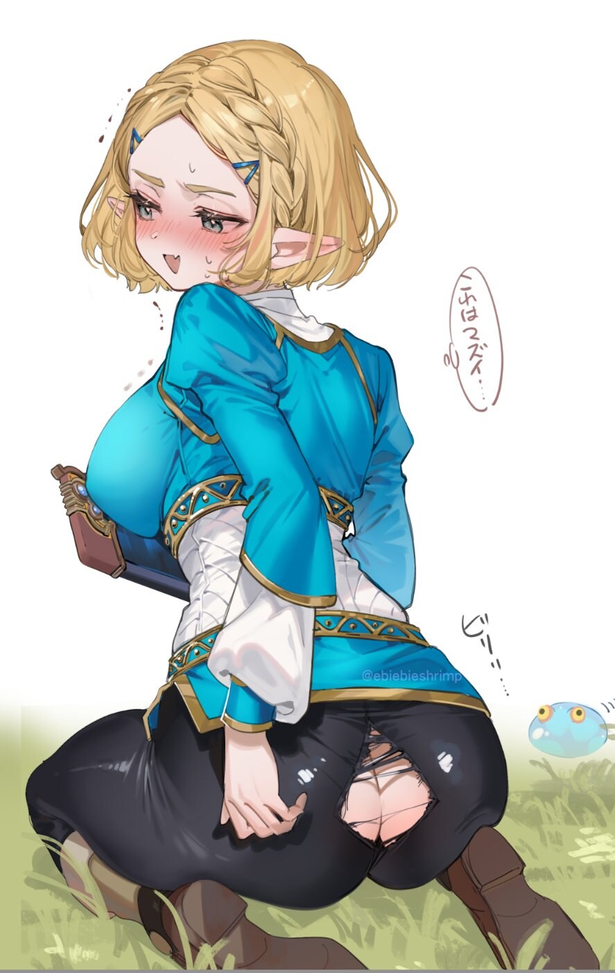 [약후] 찢어져서 당황한 젤다공주_1.jpg