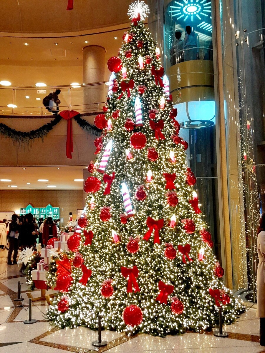 미리 크리스마스 트리보러 가볼만한곳들 (스압)_1.jpg