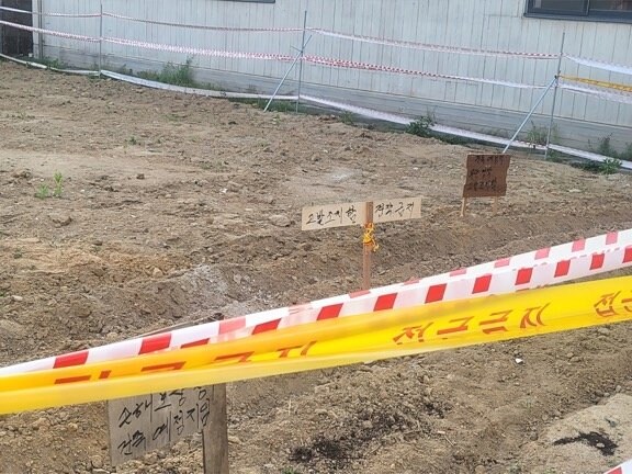 의외로 내가 땅주인이여도 하면 불법인 것_2.png