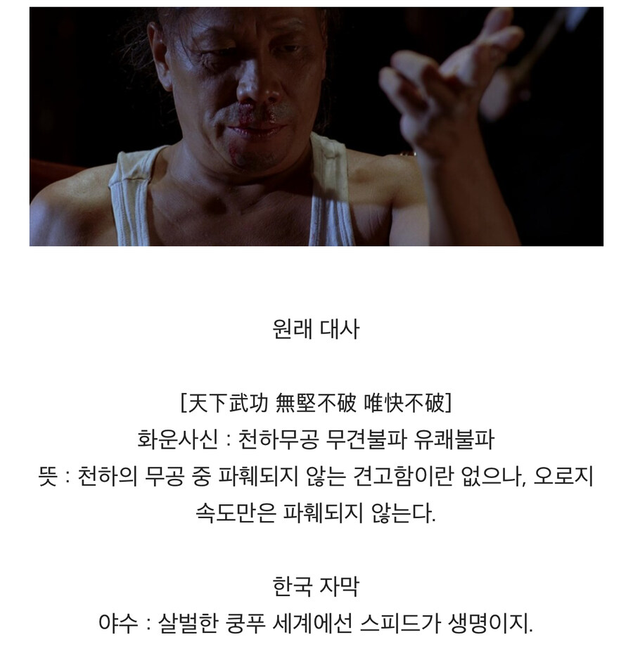 쿵푸허슬 개짜치는 번역_1.jpg