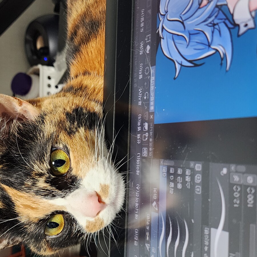 (고양이)베글 멈멍이 글 보고 써보는 우리 냥냥이 썰.._4.jpg