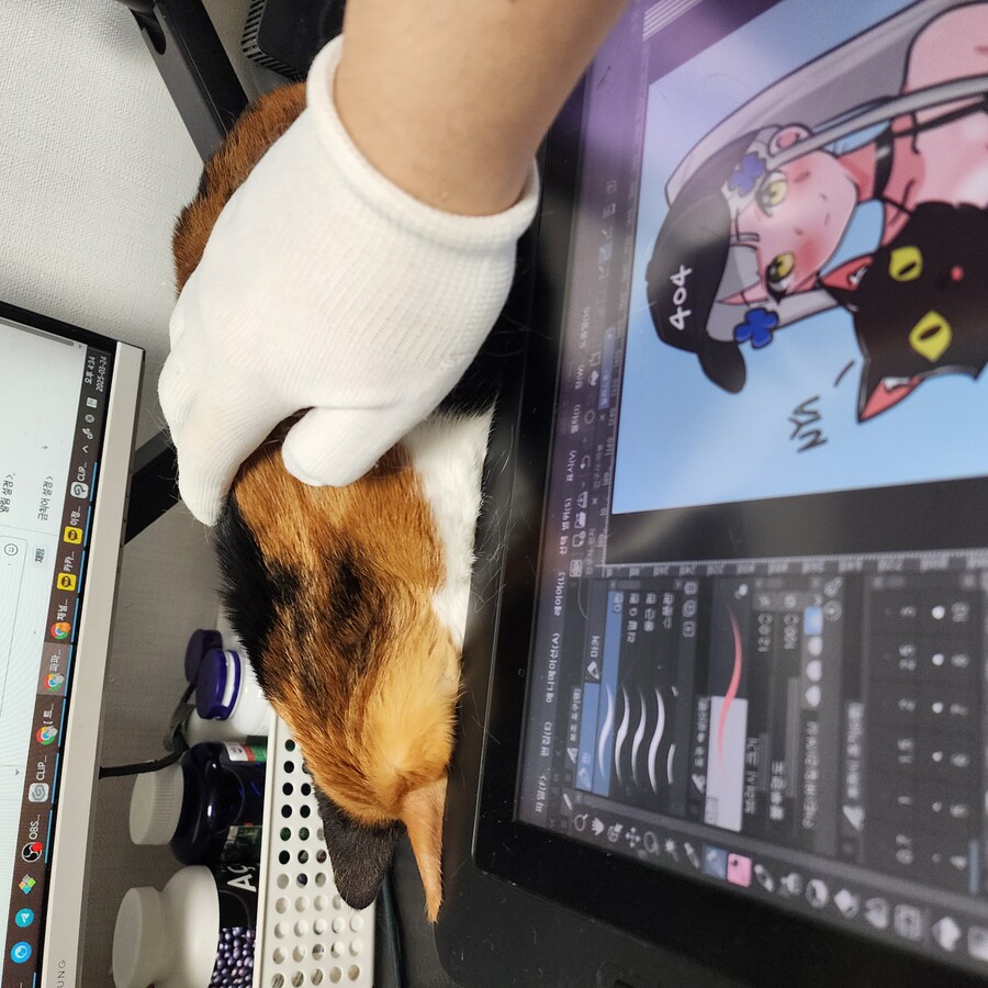 (고양이)베글 멈멍이 글 보고 써보는 우리 냥냥이 썰.._9.jpg