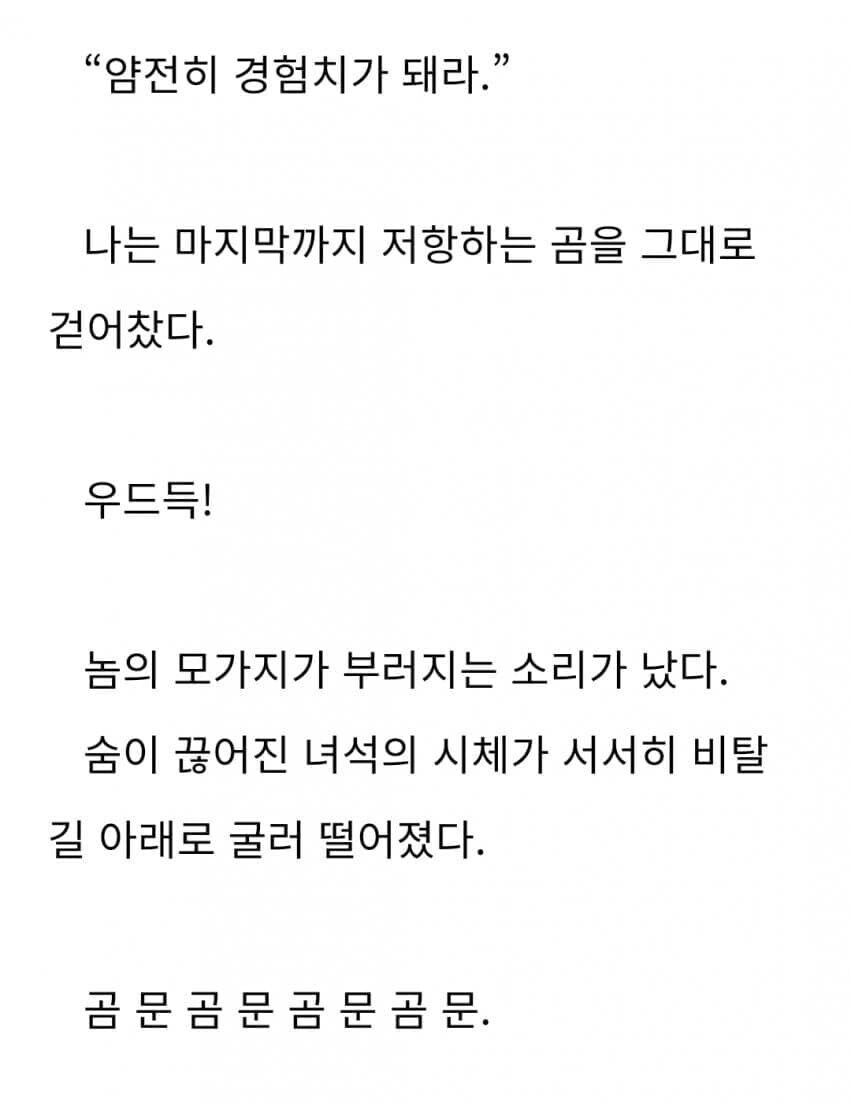 '바로 이거야! 이걸 쓰기 위해 난 소설가가 됐다!!!'_1.jpg