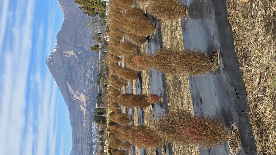 [일본] 이나와시로 호수 일주 및 첫 후쿠시마 여행 (스압)_38.jpg