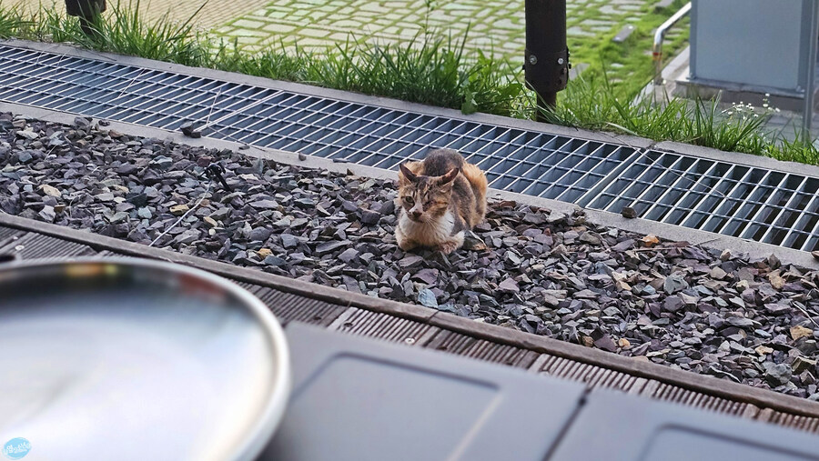 뭘 해도 재미없는 나이가 되어버렸습니다._24.jpg