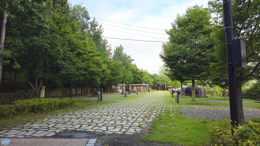 뭘 해도 재미없는 나이가 되어버렸습니다._65.jpg