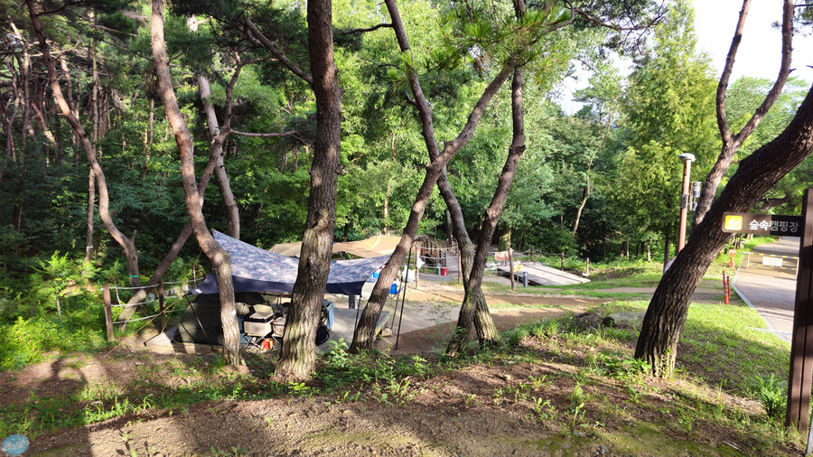 뭘 해도 재미없는 나이가 되어버렸습니다._79.jpg