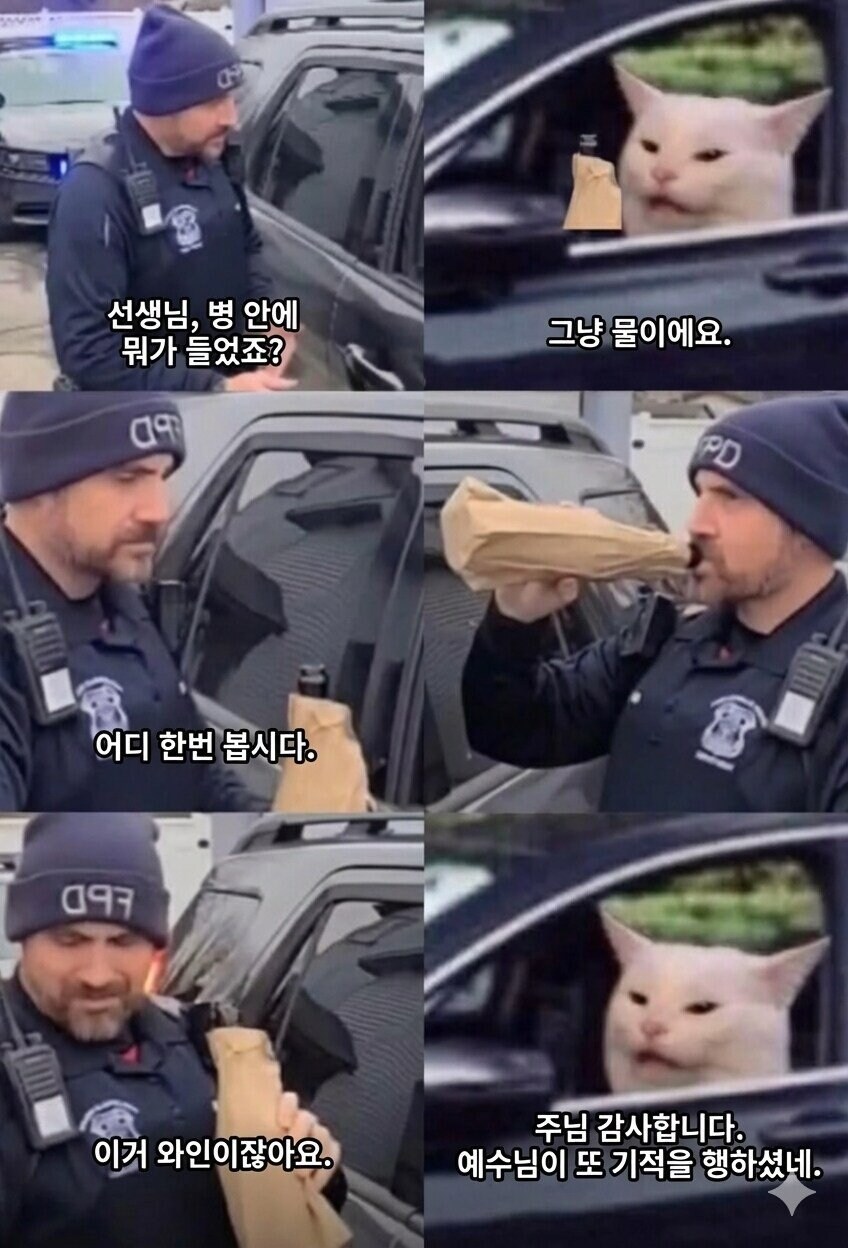 이건 분명 물 이라고요!_1.jpg