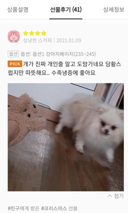 강아지 모양 실내화 사면 안되는 이유_1.jpg