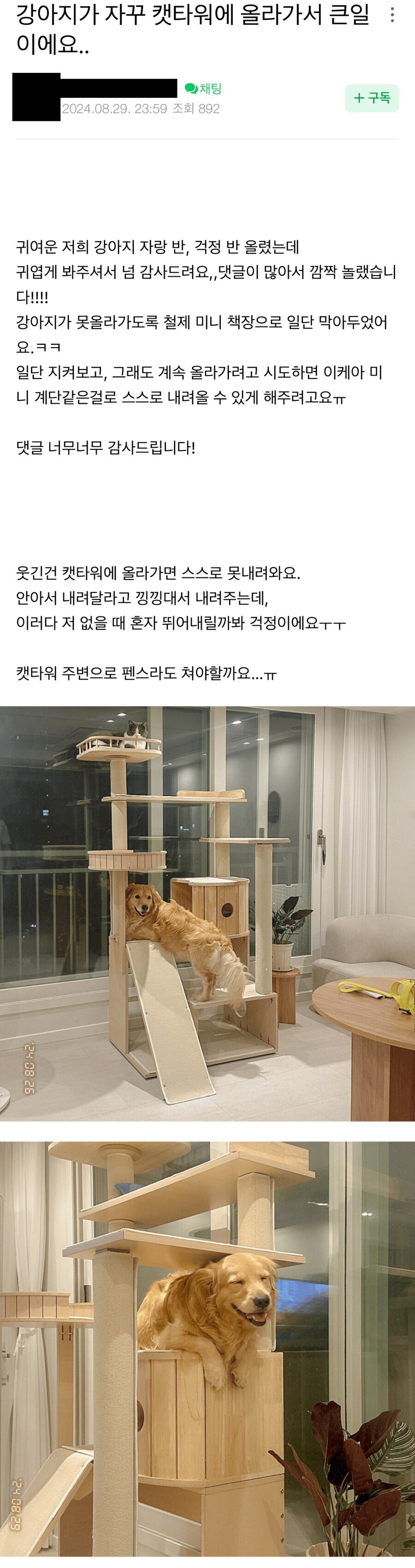 강아지가 자꾸 캣타워에 올라가서 큰일이에요_1.jpg