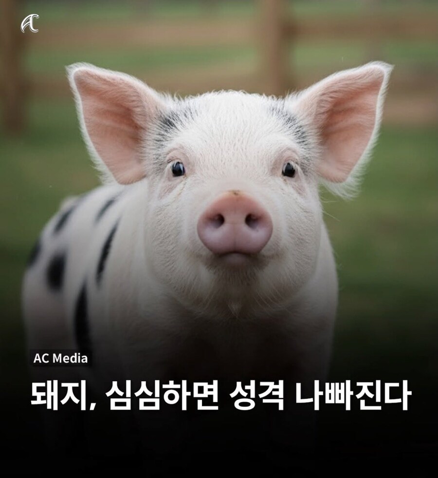 유게이들 필독ㅋㅋㅋㅋㅋㅋㅋㅋ_1.jpg