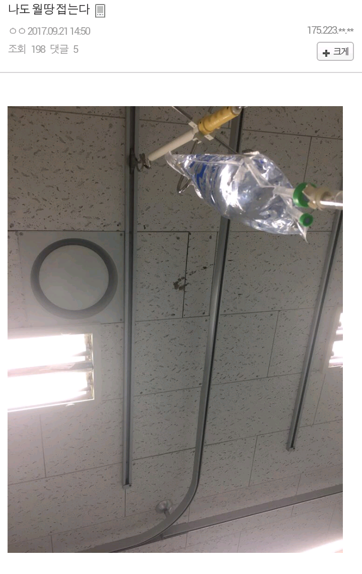 "게임을 즐길수록 뇌가 젊어진다."_6.webp