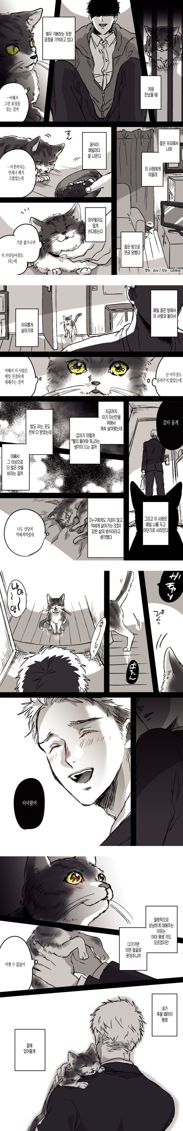고양이가 평생을 다짐하는.Manhwa_1.jpg