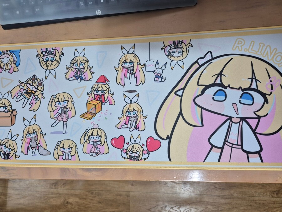 리노아 장패드 도착!_1.jpg