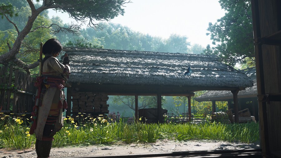 어쌔신크리드 섀도우)봄, 히메지성_2.jpg