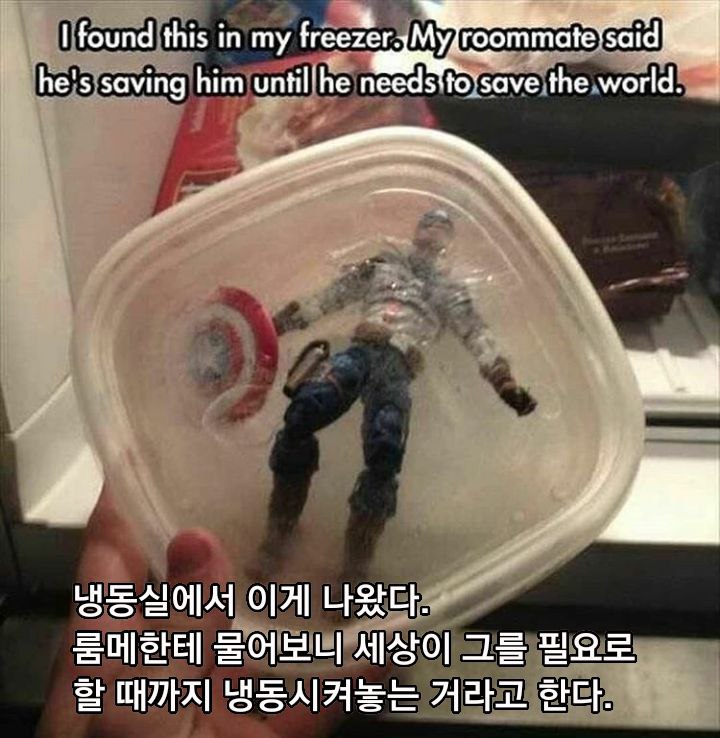 "냉동실에 피규어를 보관하는 룸메이트."_1.jpg