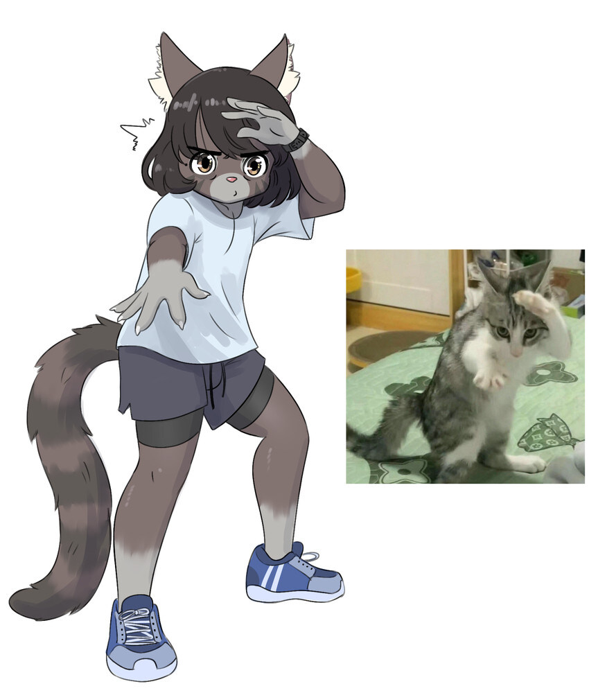 모닝의 퍼리퍼리야_4.jpg