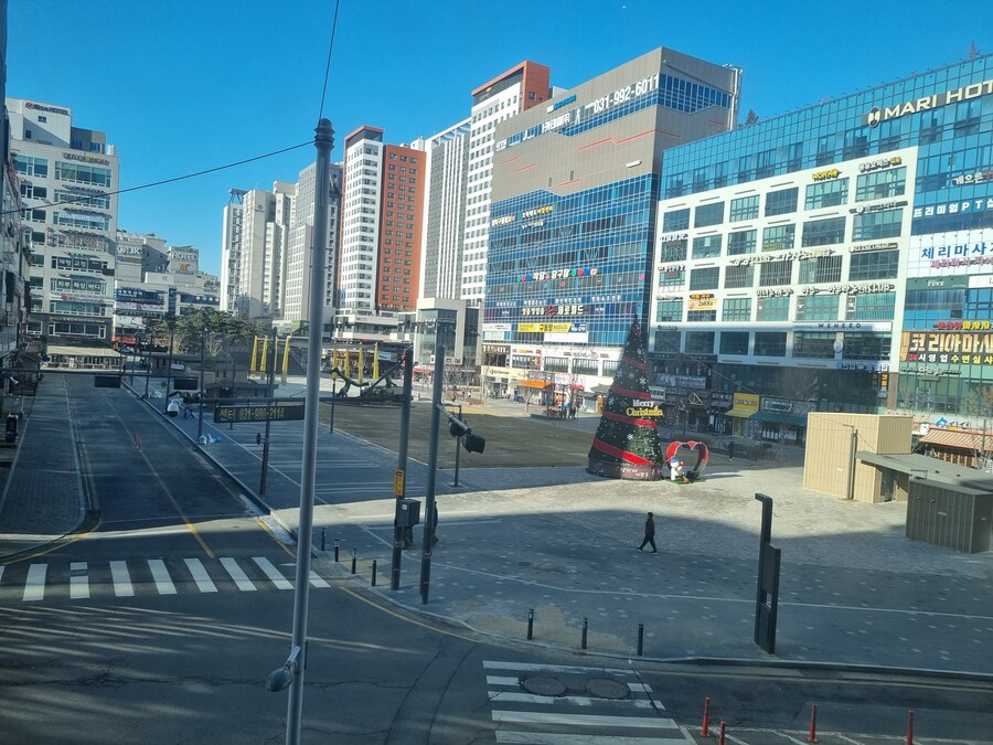 Merry Christmas in pascucci_7.jpg