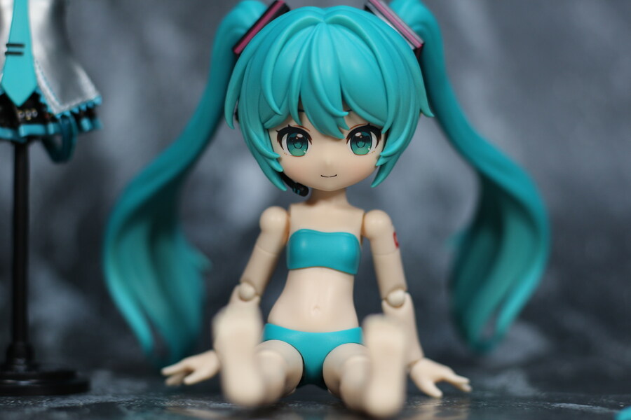 [블로키] 하츠네 미쿠 세런디피티 FS EX01_5.jpg