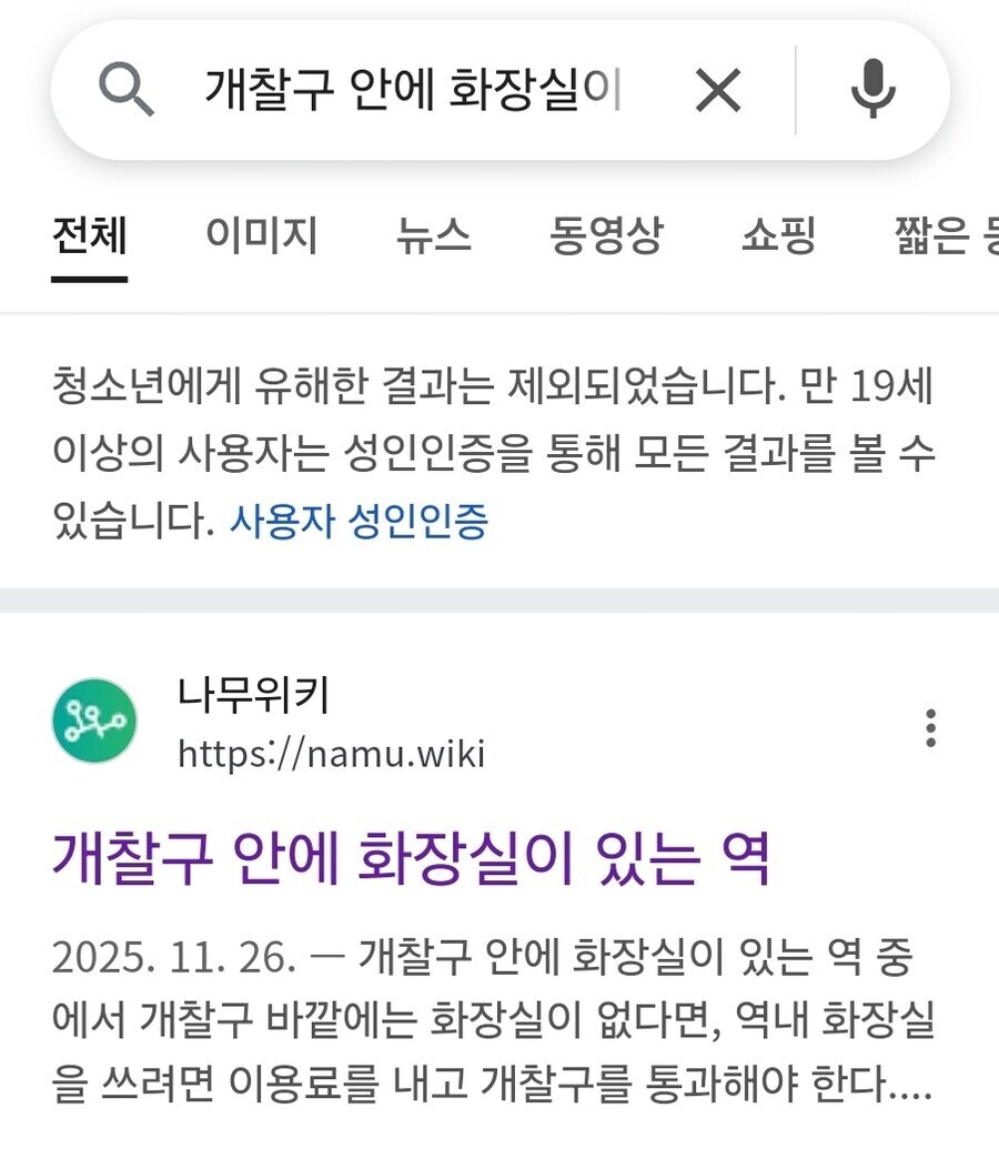 구글에서 검색할려면 성인인증 해야하는 것