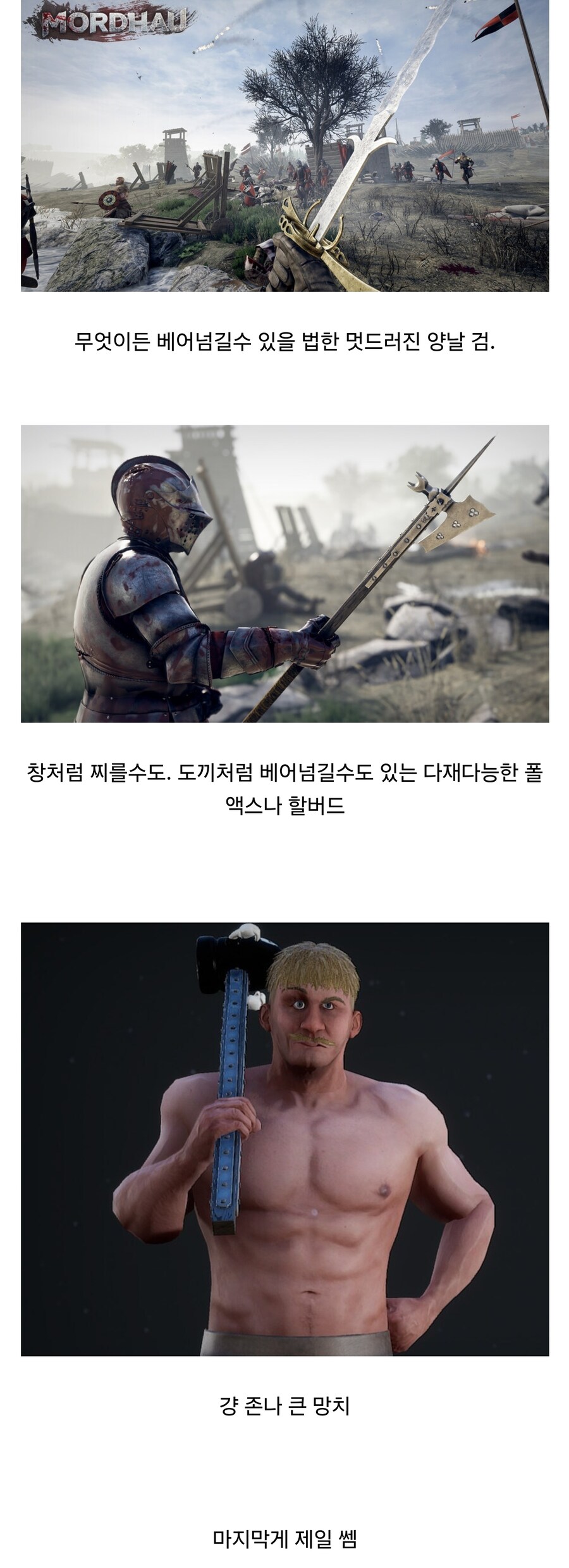 중세 칼싸움 게임 무기 특징.jpg_1.jpg