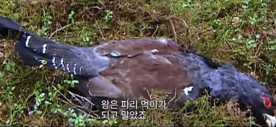 가오가 뇌를 지배하는 생물_25.jpg