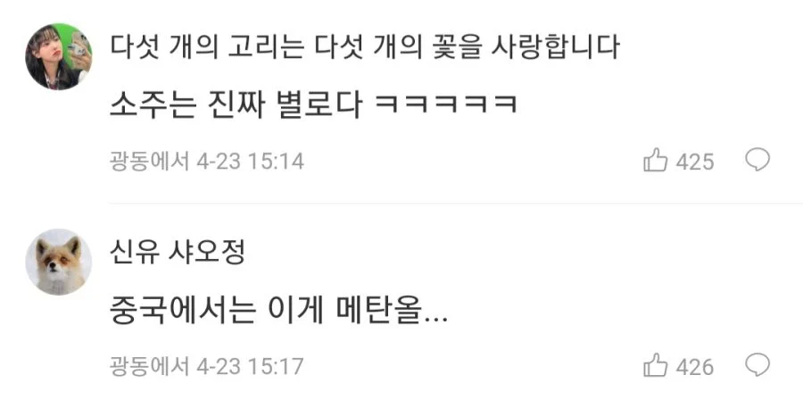 한국음식 쓰레기란 중국인_2.webp