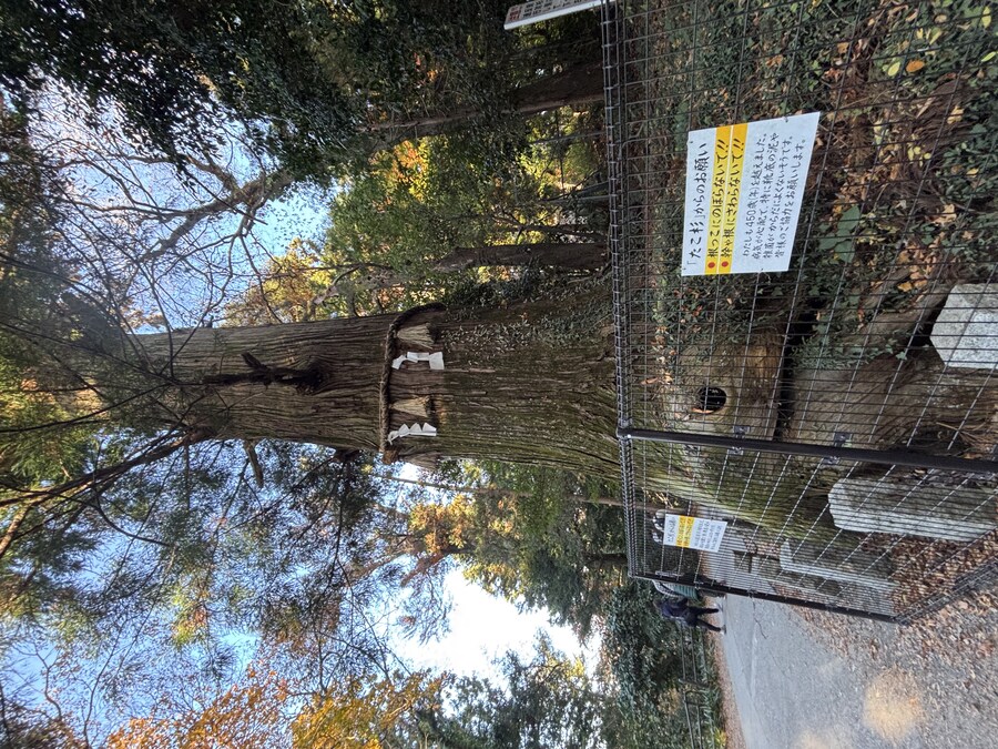 나가노 여행기 01_22.jpg