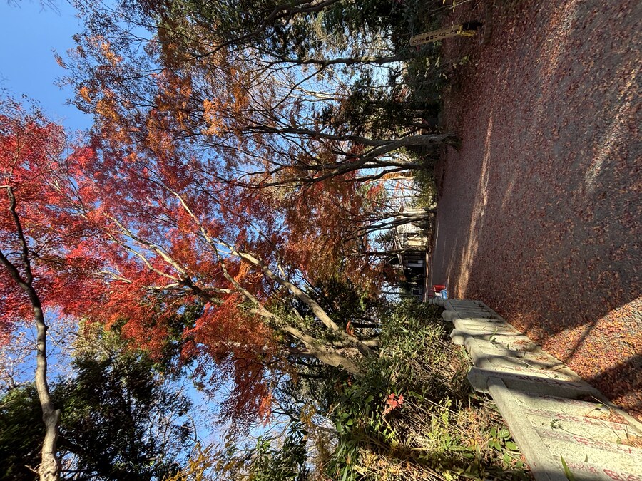 나가노 여행기 01_24.jpg