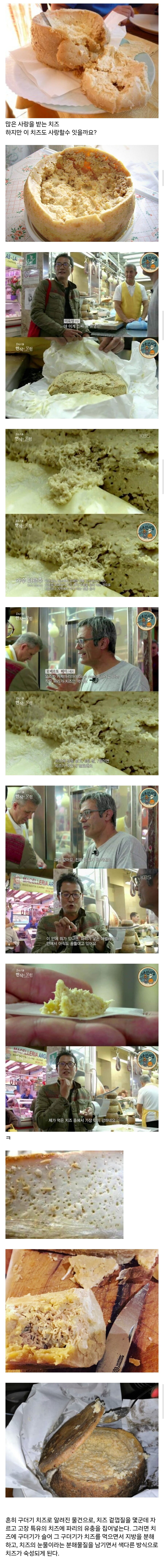 이 '구더기 치즈' 의 놀라운 사실_1.jpg