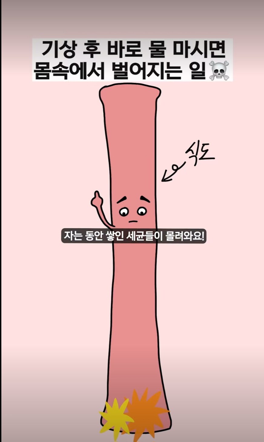 잠에서 일어나서 바로 물을 마시면 안되는 이유_5.jpg