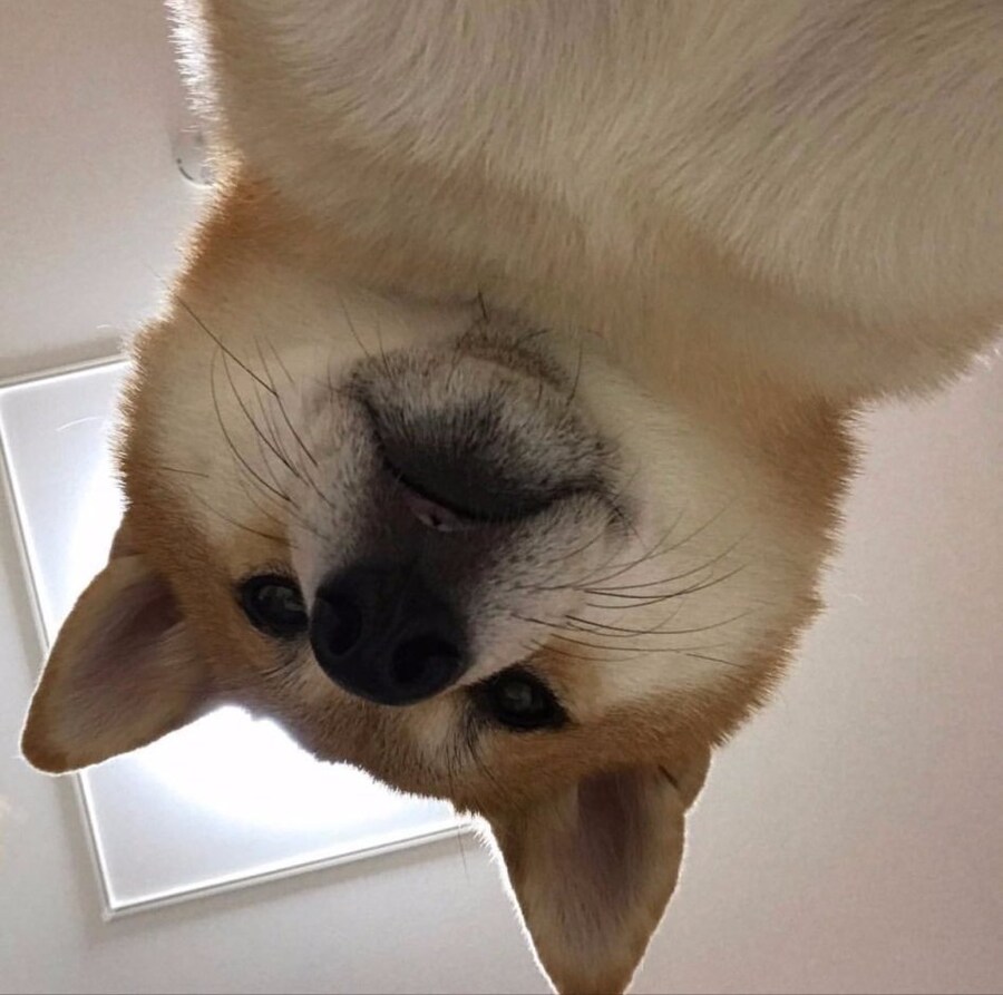 서브컬쳐 게임사는 커뮤를 볼까?_6.jpg