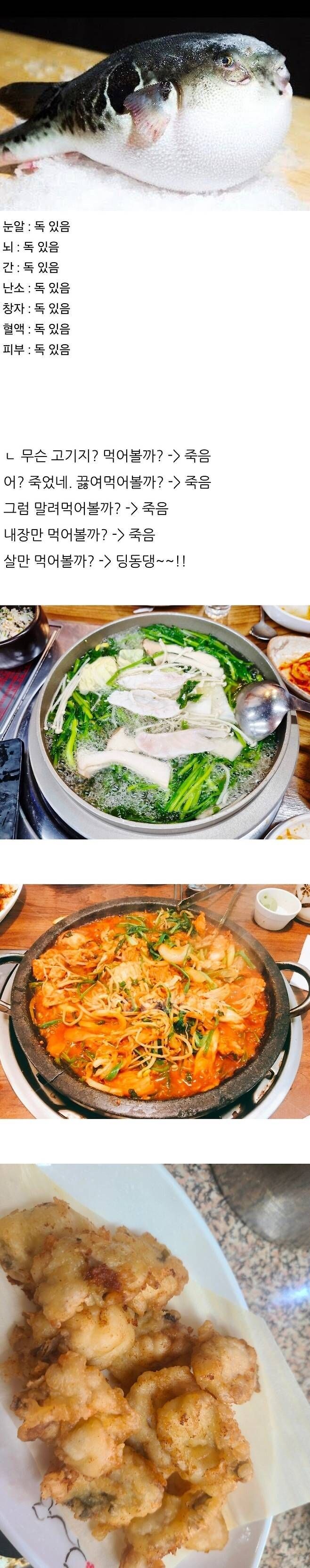 인류에게 계승되는 의지가 있음을 증명한 생물_1.jpg