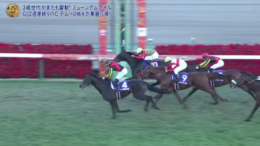 4615만원짜리 폐지 구경하고 갑시다(feat. 아리마 기념)_2.png