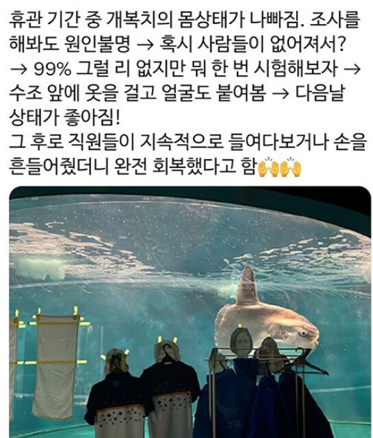 손님 없어서 우울증 걸린 개복치_1.jpg