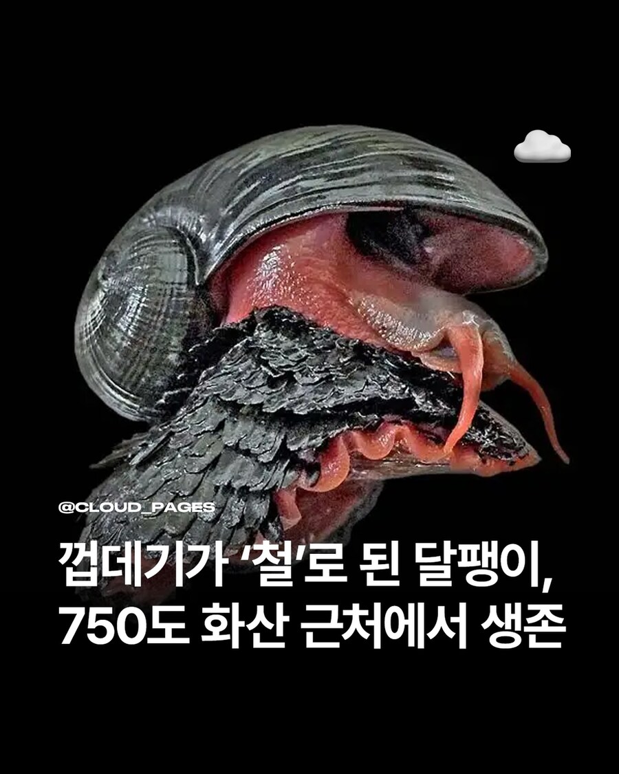 깝질이 철로 된 달팽이.jpg_1.jpg