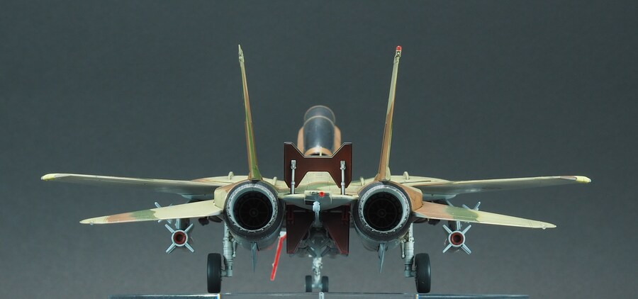 Finemolds 1/72 F-14A Alicat_4.jpg