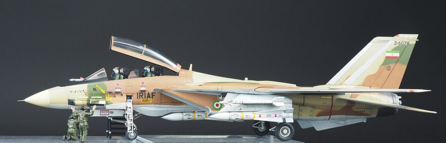 Finemolds 1/72 F-14A Alicat_6.jpg