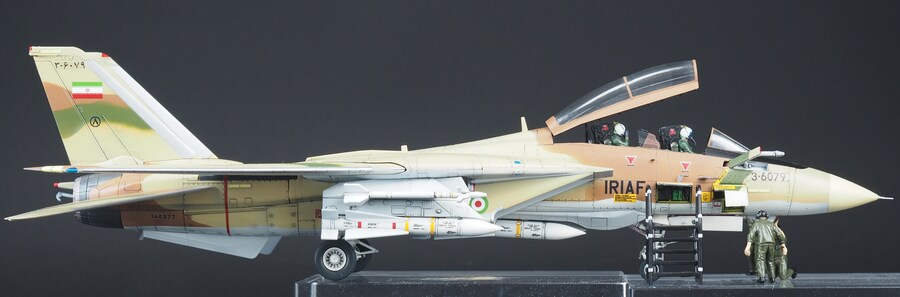 Finemolds 1/72 F-14A Alicat_7.jpg
