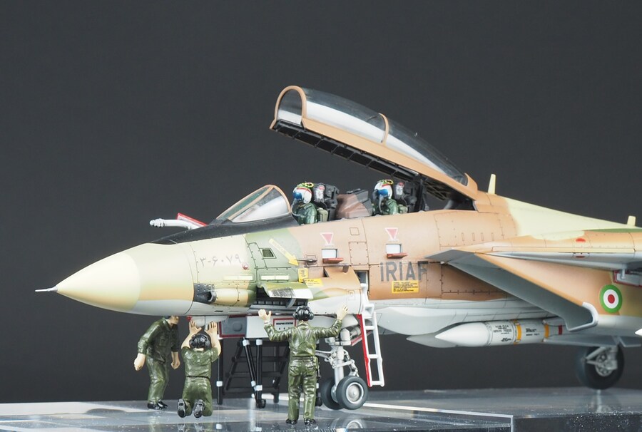 Finemolds 1/72 F-14A Alicat_8.jpg