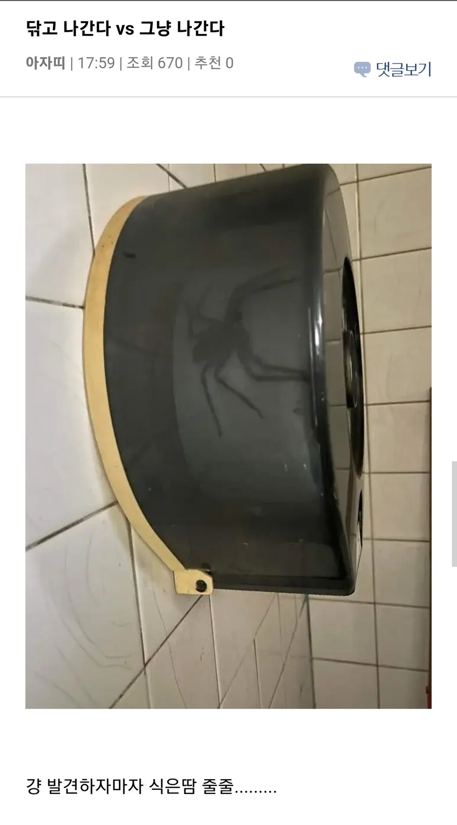 약혐)난 농발거미가 그렇게까지 빠른지 몰랐었음_1.jpg