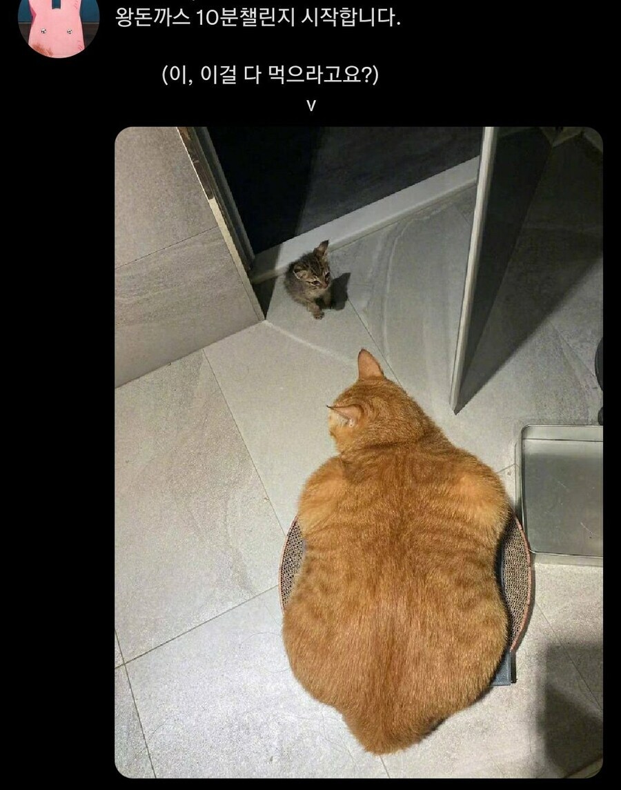 국민우유집 밀크쉐이크 존나 맛있네_1.jpg