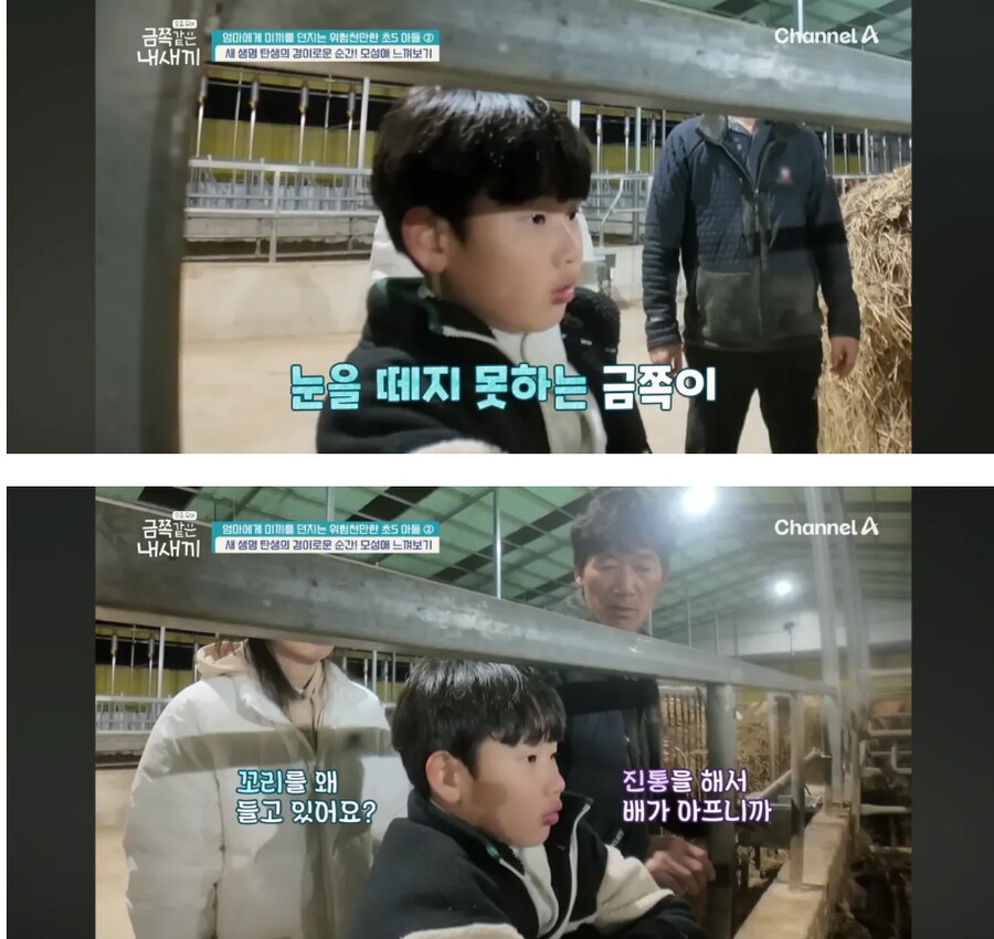 오은영이 범죄자 될 수 있다고 한 금쪽이 근황_2.png