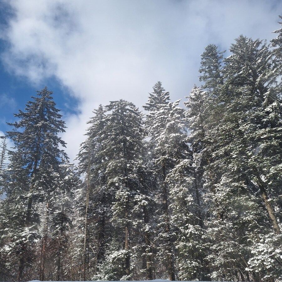 (스압) 중국의 이상한 한식(?) 과 기타 등등 여행기 겸 음식사진 백두산편_15.jpg